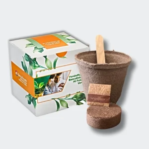 kit de siembra con caja personalizada