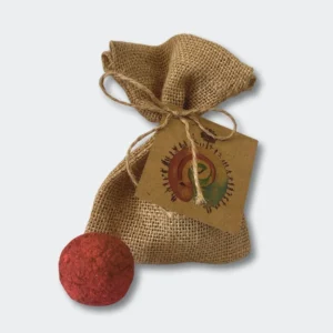 eco bolsa bomba de semillas