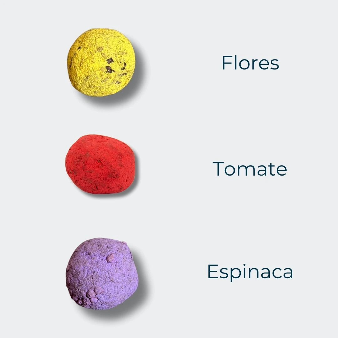 tipos de bombas de semillas
