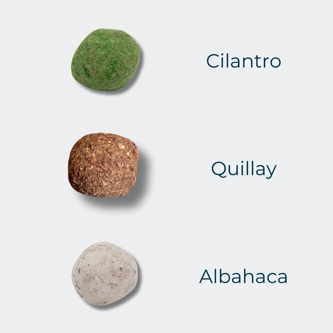 tipos de bombas de semillas