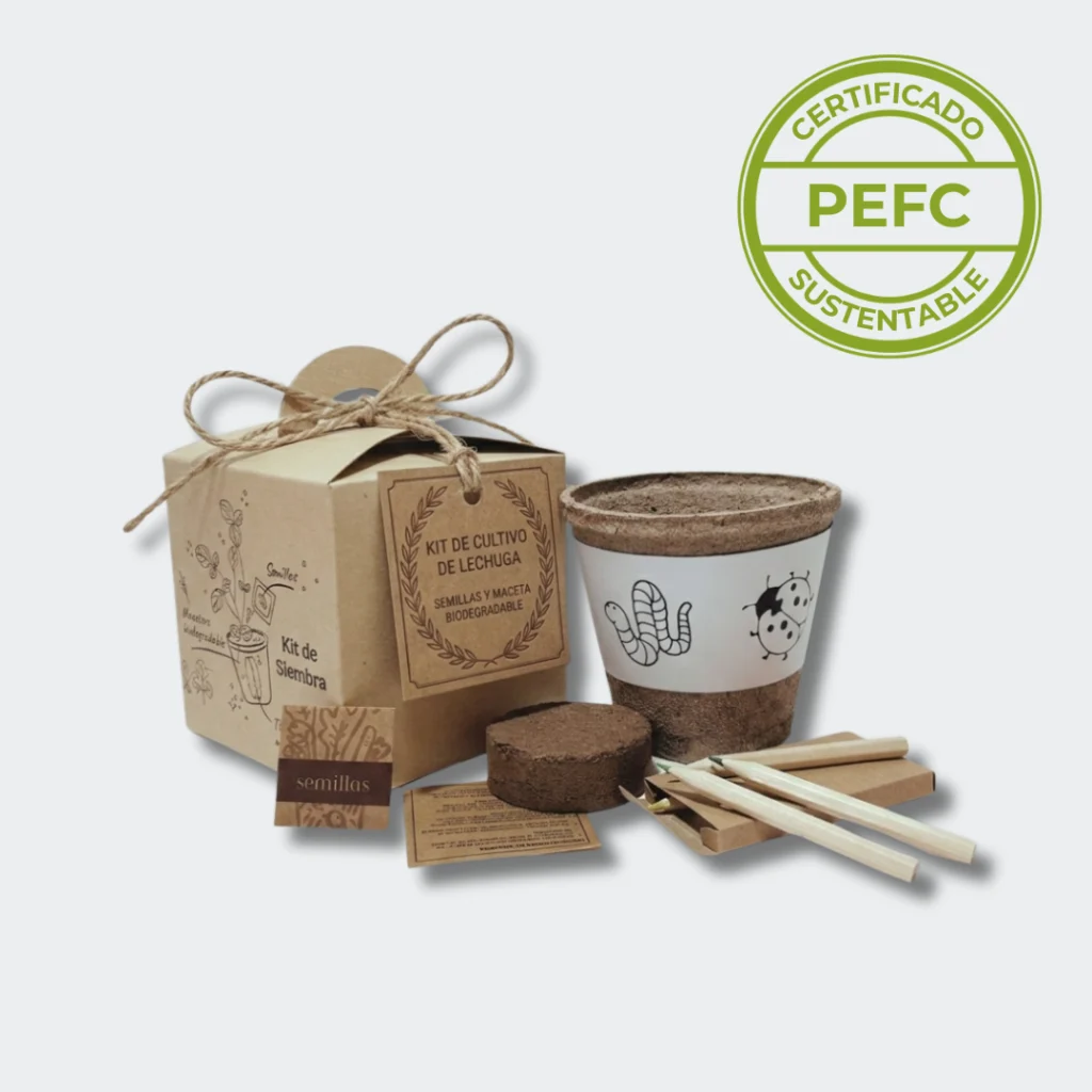 kit de siembra para niños
