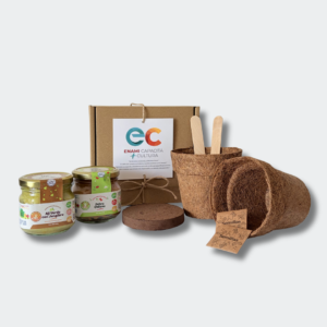 kit sembrando sabor con pebre chileno y aji verde